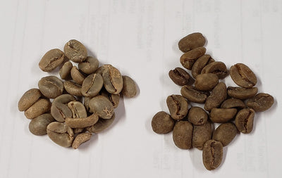 unroasted decaf beans are darker than unroasted regular beans